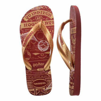 Chinelo Havaianas Harry Potter  - Mogno (5416) - Atacado