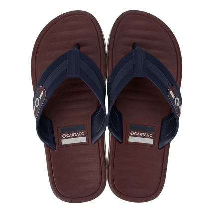 Chinelo Masculino Cartago Paris II Dedo 12214 - Bege/azul/bordo (Bg900) - Atacado